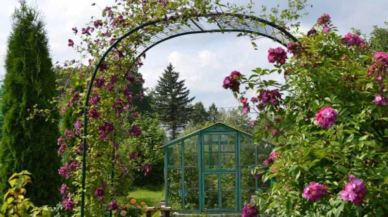 Арочная решетка для сада