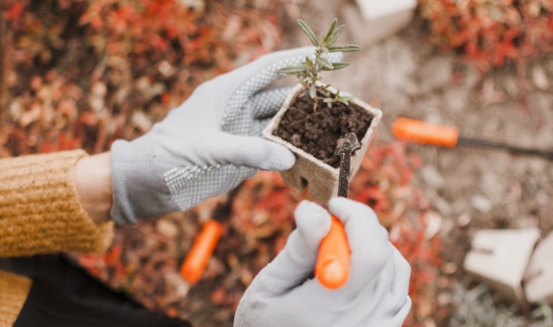 В теплую погоду можно вносить удобрения и обрабатывать почву