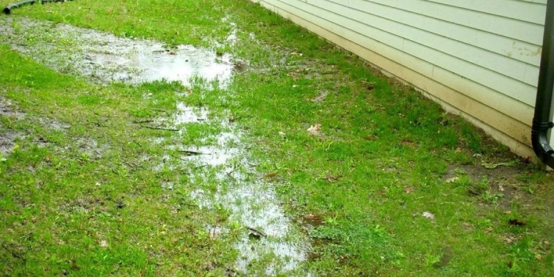 Плохой дренаж