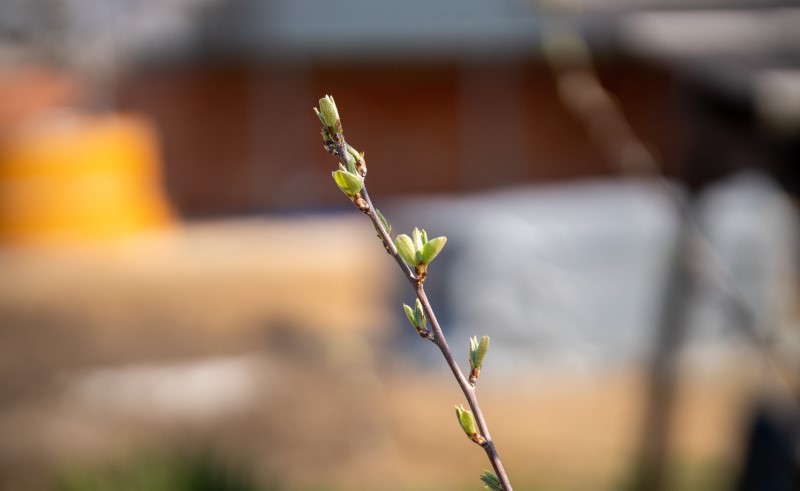В марте на даче уже можно начинать активно работать