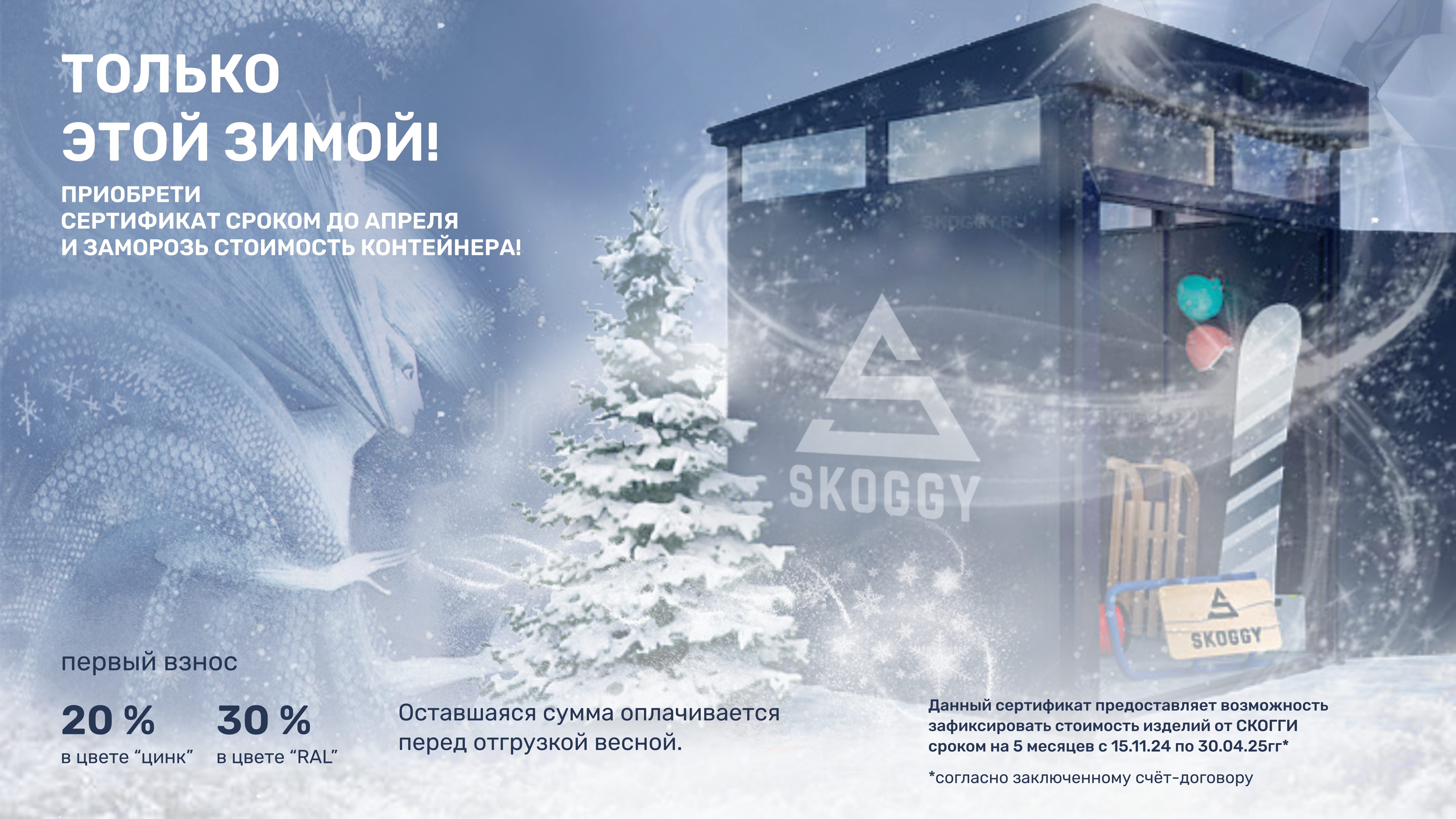 Сертификат на покупку SKOGGY