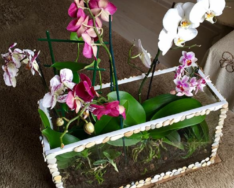 Стеклянные емкости