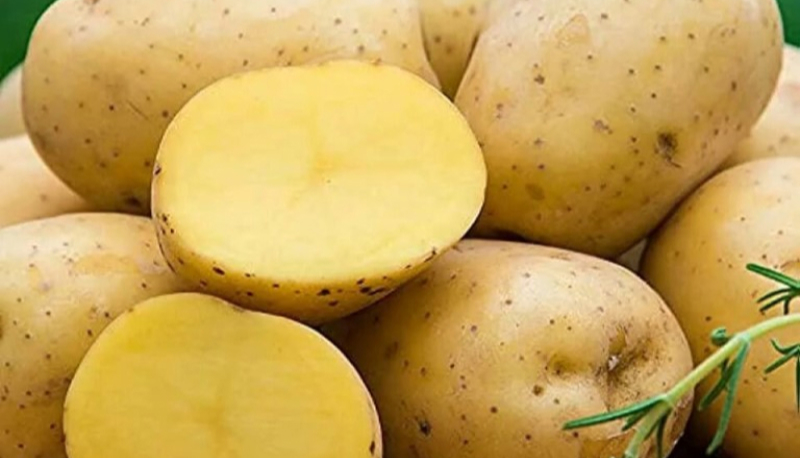 Подготовка к сборке урожая