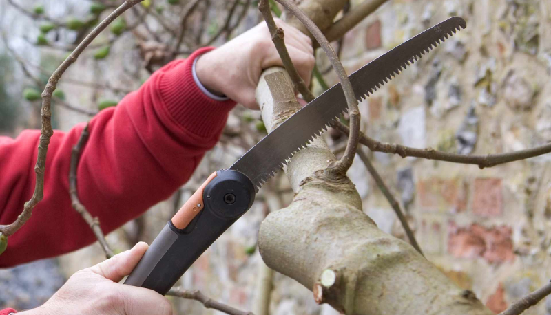 Обрезка деревьев