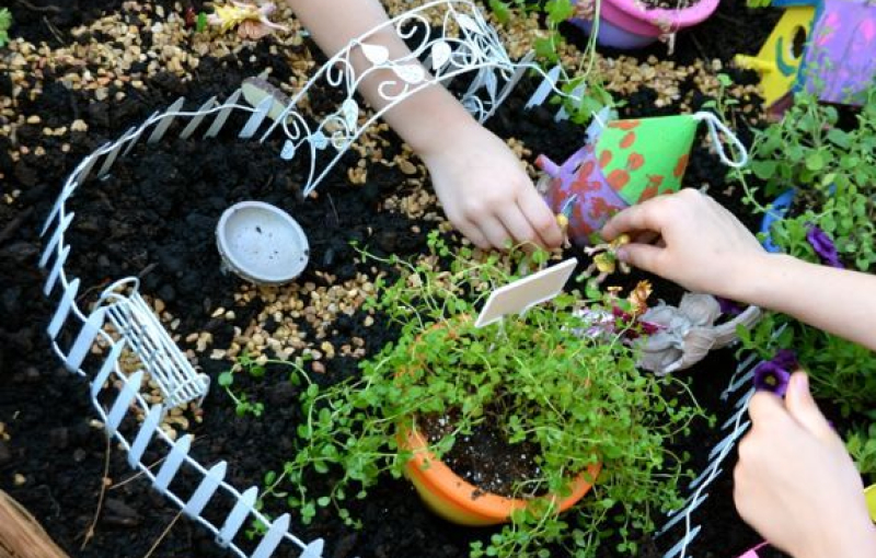 Обучающие грядки