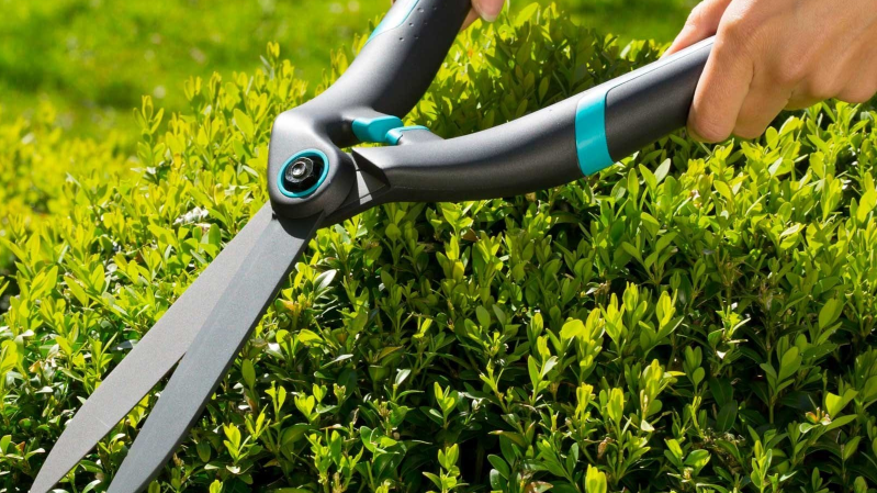 Садовые ножницы