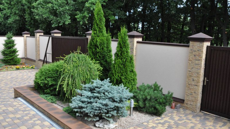 трехцветная композиция