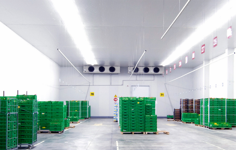 Холодильный склад