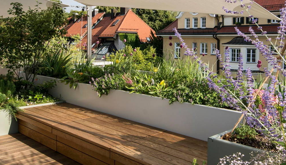 Растения на террасе