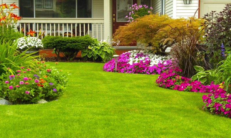 Ухоженный газон