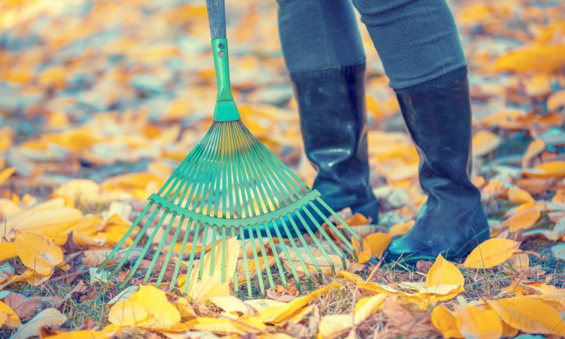 Уборка листьев