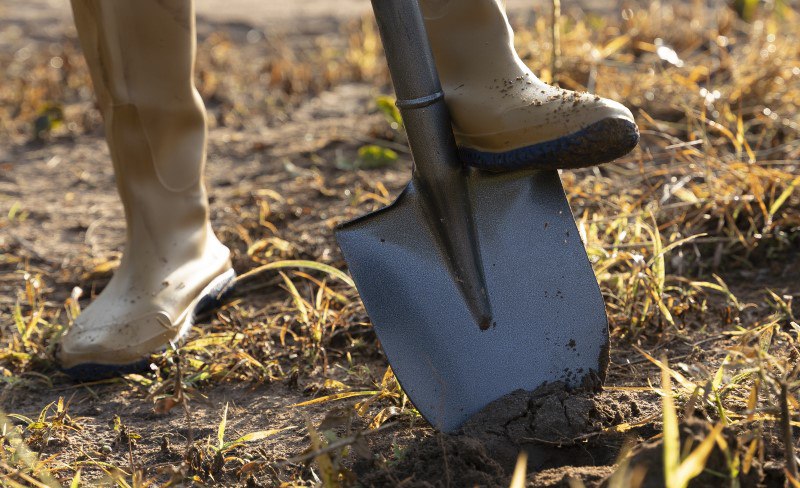 Запасаем землю