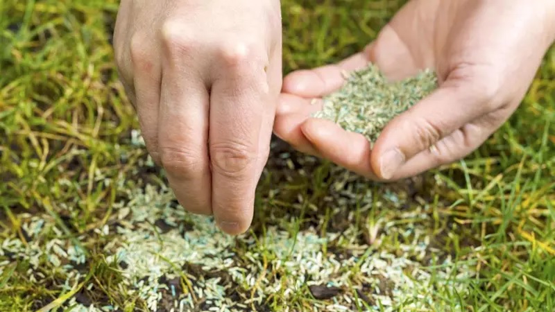 оголенные места