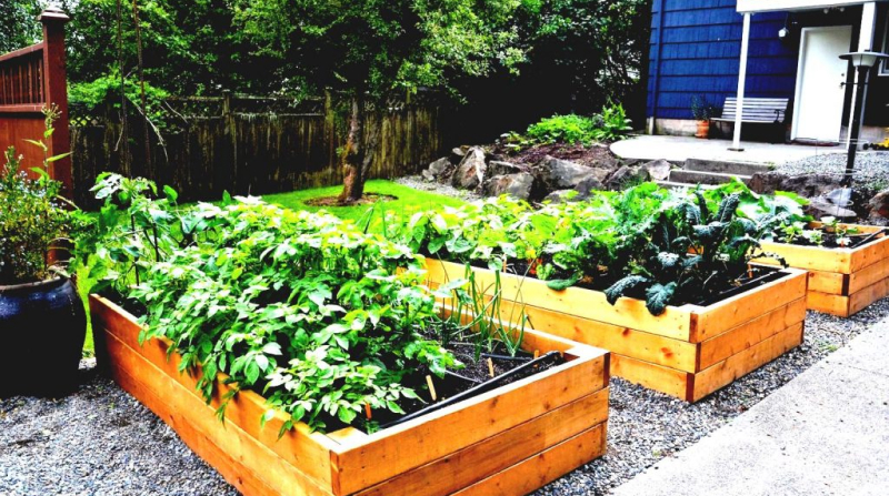 Высокие грядки