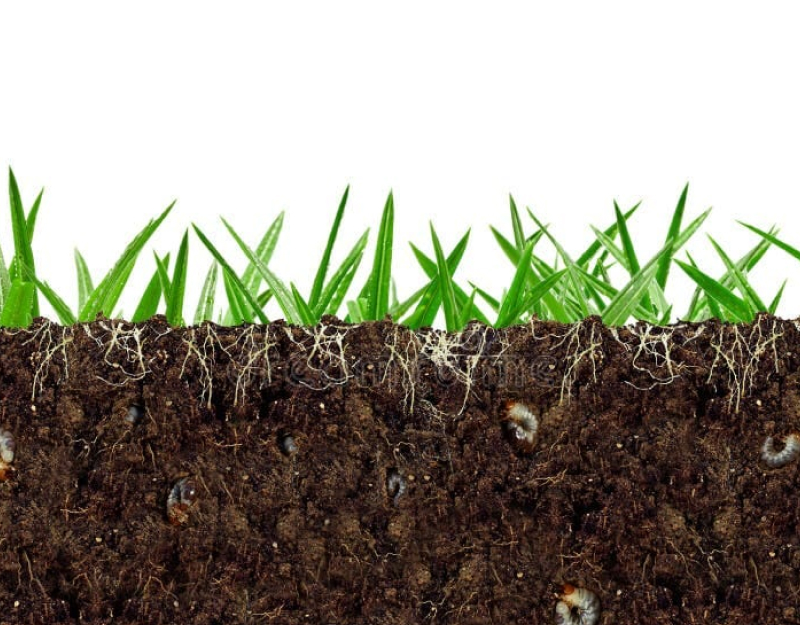 земля в разрезе