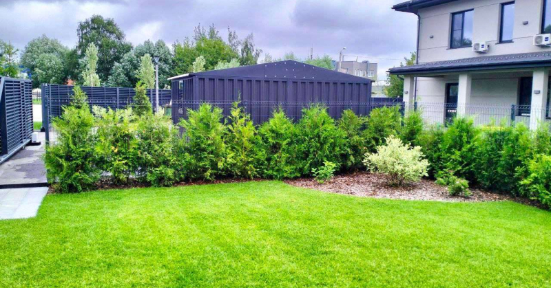 Контейнер SKOGGY