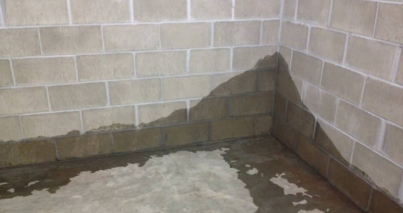 Влажные стены и протечки