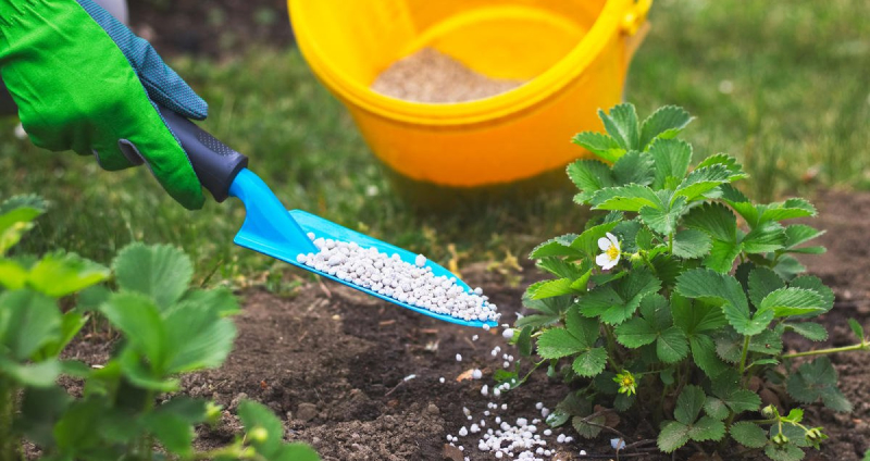 Внесение удобрений