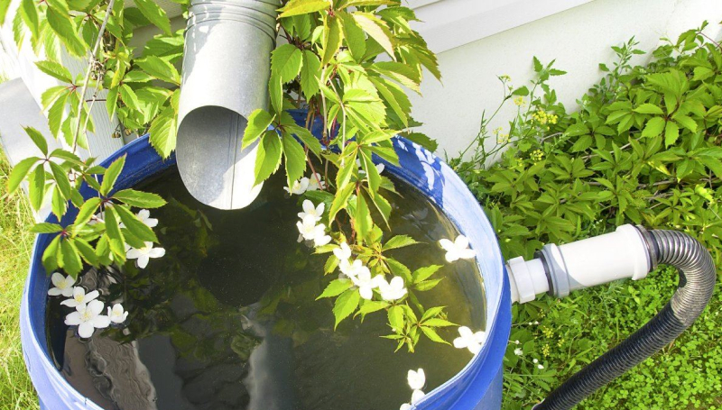 Сбор дождевой воды