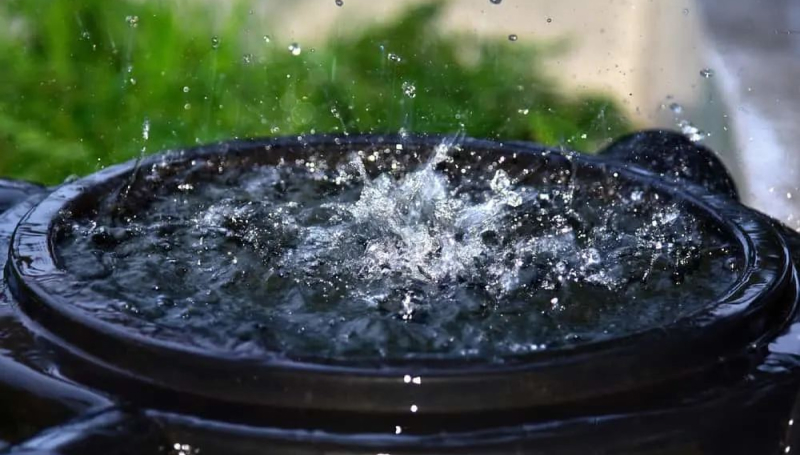 Сокращение потребления воды в саду