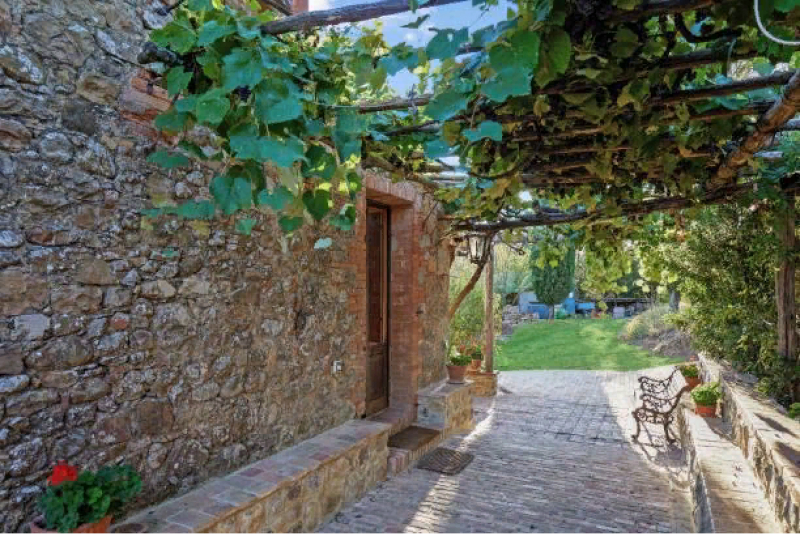 Навес из вьющихся растений