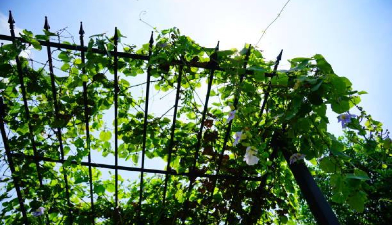 Садовый навес