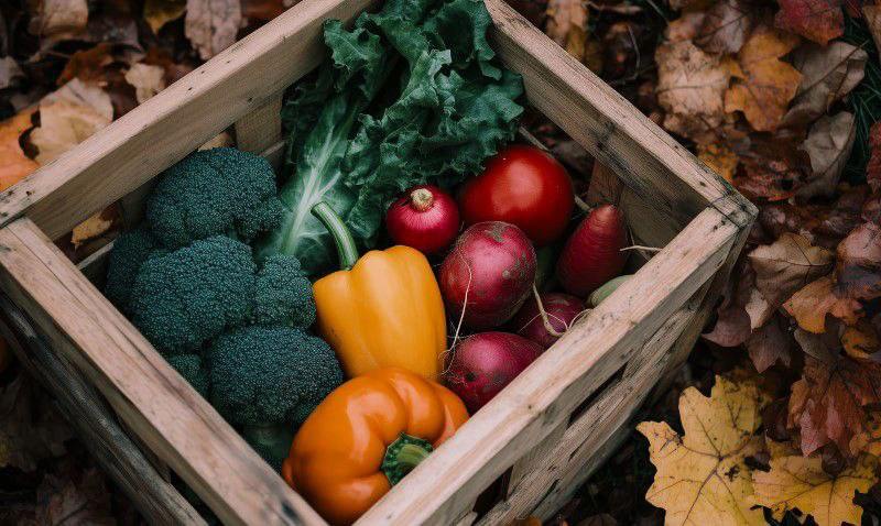 Хранение урожая