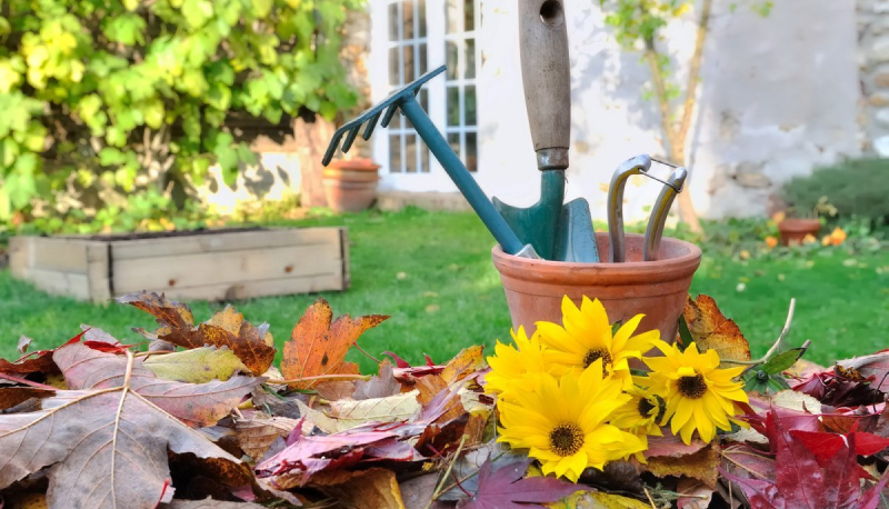 Дача в сентябре