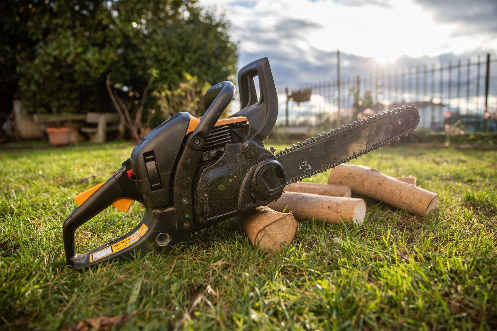 Цепная пила для дачи