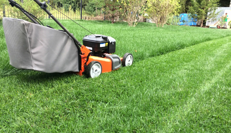 Стрижка газонокосилкой