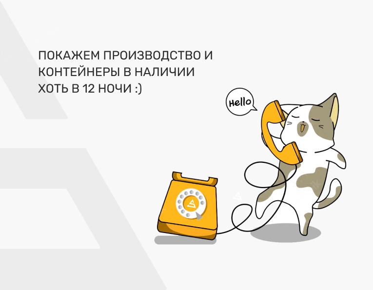 График работ SKOGGY