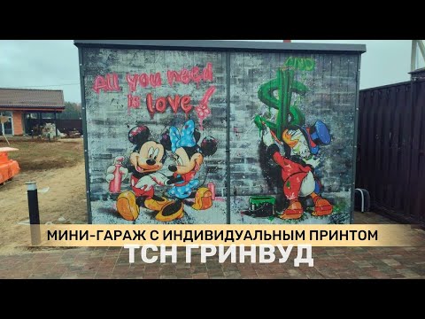 Кейс: Автомобильный гараж 3 х 4,7 с граффити в ТСН Гринвуд, Ступинский район