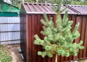 Хозблок для хранения для заказчика в д. Ярцево, г. Солнечногорск, МО