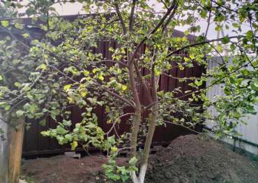 Элегантный хозблок для хранения в шоколадной расцветке в с. Троице-Лобаново, Ступинский р-н, МО