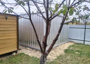 Хозблок со стеллажами и полками в СНТ Дачное, Серпуховский р-н, МО