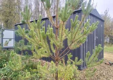 Гараж из профлиста для мототехники в дер. Усково, Ярославский р-н, Ярославская обл.