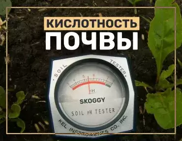 Кислотность почвы