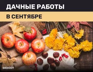 Работы на даче в сентябре